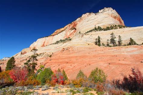 Zion National Park Geology stock photo. Image of national - 25569110