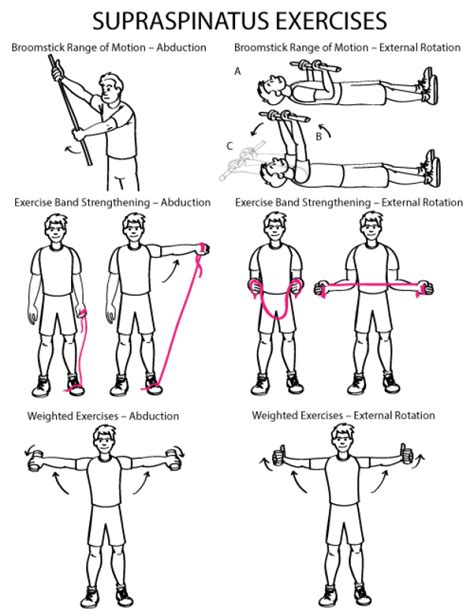 Physical Therapy Student, Occupational Therapy Activities, Physical Therapy Exercises, Shoulder ...