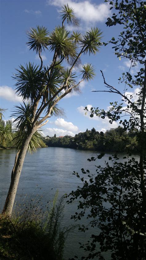 Waikato River, Hamilton, New Zealand. | New zealand, River, Beautiful ...