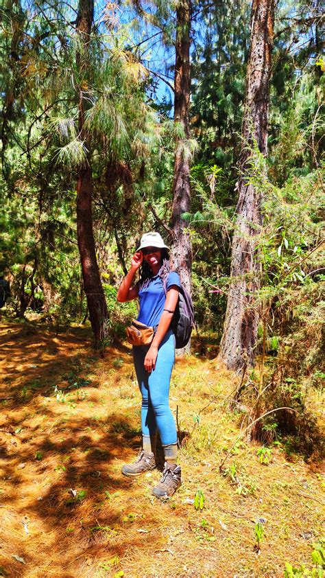 Mt Kenya Summit: Hiking Through Sirimon Gate to Lenana Peak