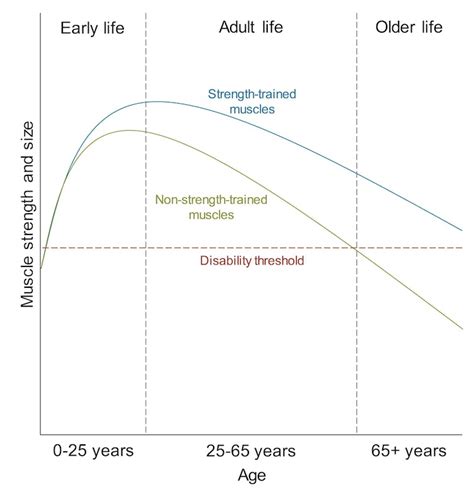 Strength Training Is Your Hedge Against Steep Physical Decline in Old ...