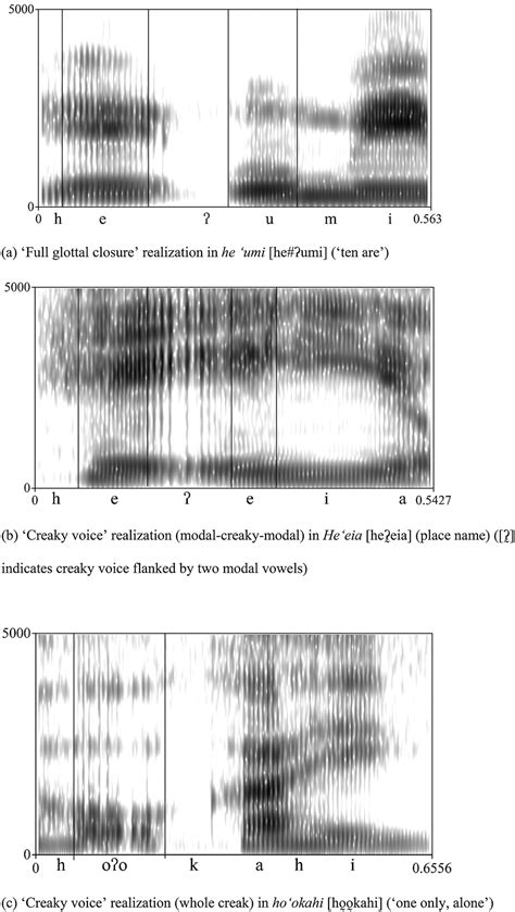 Word-level prosodic and metrical influences on Hawaiian glottal stop ...