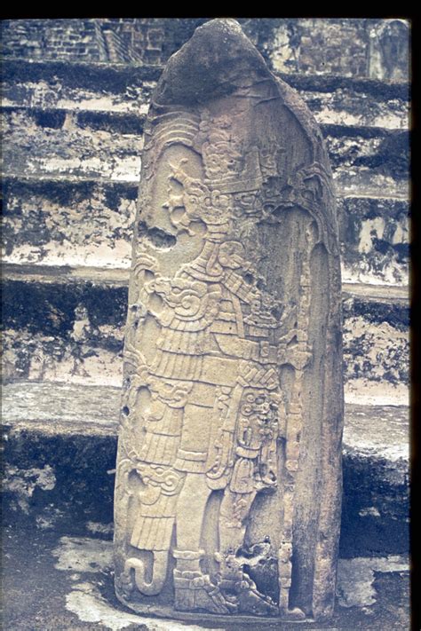 Stela 9, Late Classic, photo by Linda Schele | Arte maya, Estela, Tikal