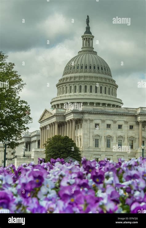 Washington d c capitol hill hi-res stock photography and images - Alamy