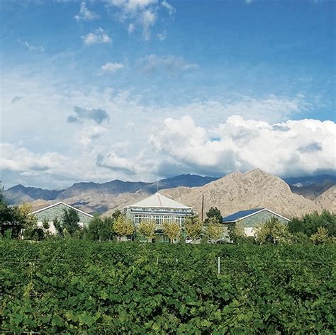 Why wines from China are getting better | Cathay