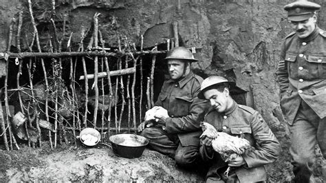 How did animals help in World War One? - BBC Bitesize