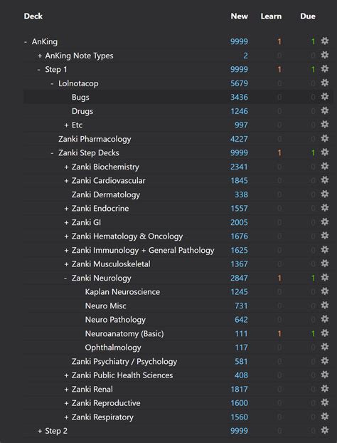 The AnKing Anki deck example