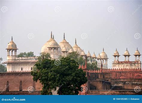 Moti Masjid or Pearl Mosque in Agra Fort, India Stock Image - Image of ancient, city: 104105385