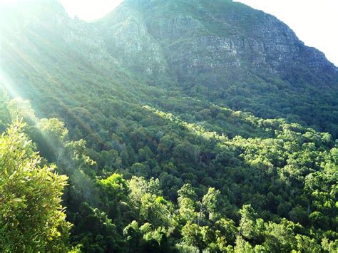 Easy hiking trails for beginners and children in Cape Town