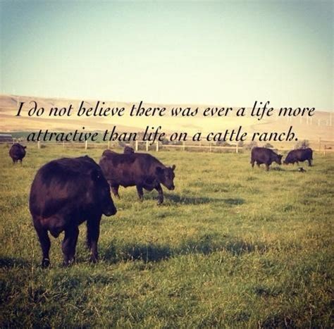 Quotes about Cattle | 169 quotes