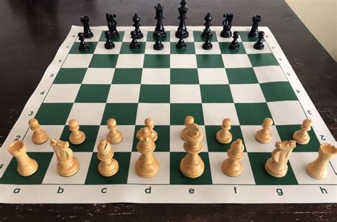 How to Set up a Chess Board: Basic Info and Tips