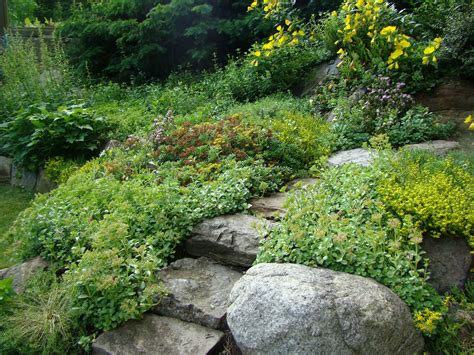 A Rock Garden to Celebrate Spring (and a Wedding)