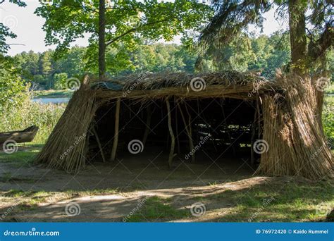 Stone Age hut stock photo. Image of branches, replica - 76972420