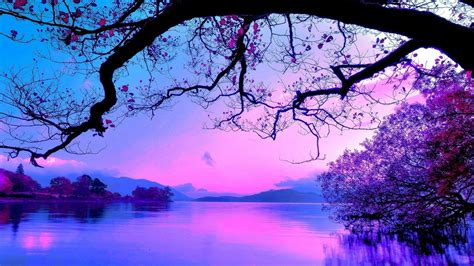 Blue and Purple Sunset HD wallpaper | Sunset wallpaper, Purple sunset ...