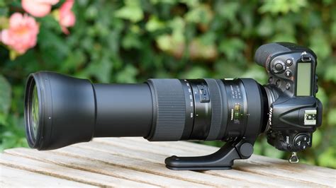 Tamron 150-600mm G2 review | Cameralabs