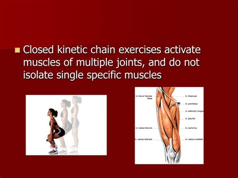 PPT - Closed Chain Exercise and Knee Pathologies PowerPoint Presentation - ID:1088965