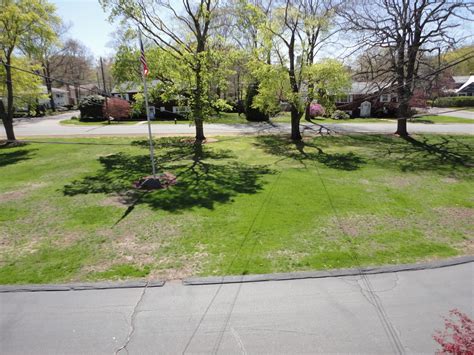 What type of lawn damage is this, and what do I do about it? - Gardening & Landscaping Stack ...