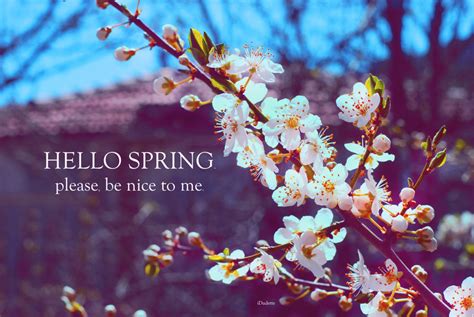 🔥 [50+] Hello Spring Wallpapers | WallpaperSafari