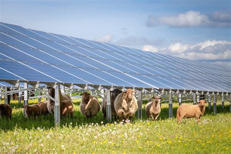 Agriculteur - IRISOLARIS - bâtiments photovoltaïques