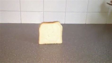 Piece Of Bread Falling Gif - luxurylip