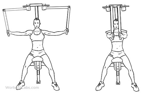 Butterfly workout, shoulder pain when lifting arm, leg press calf raise without machine