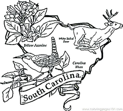 North Carolina State Symbols Coloring Pages at GetColorings.com | Free ...