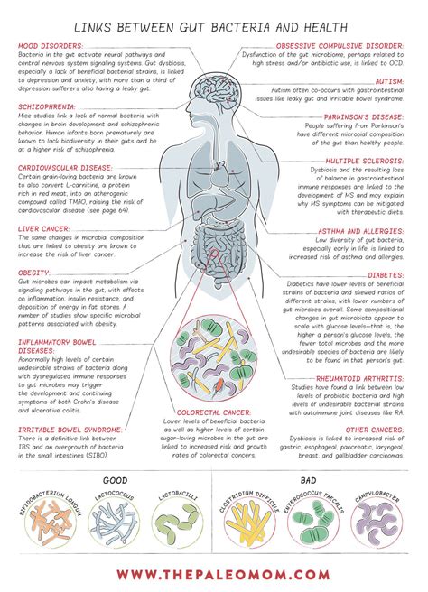 What Is the Gut Microbiome? And Why Should We Care About It? | Gut microbiome, Gut health ...