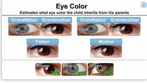 eye color genetics chart eye colors - sandwalk the genetics of eye ...