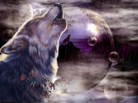 HD wallpaper: A Wolf Howling To His Pack, landscape, lone, wolves ...