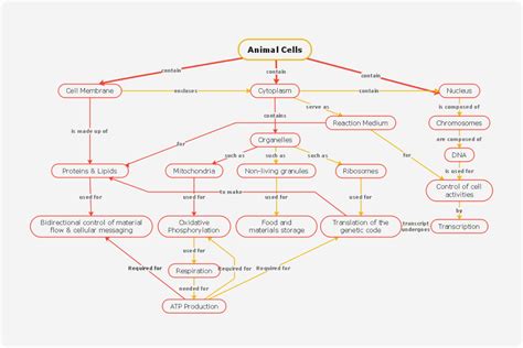 Cell Concept Map Template | EdrawMind