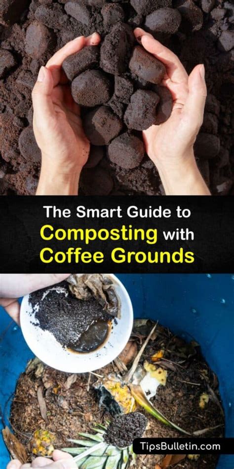 Adding Coffee Grounds to Compost - What You Need to Know