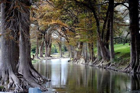 Camp Verde, Texas | Hill country, Texas hill country, Camp verde