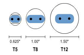 Difference Between T5 And T8 Aquarium Lighting - Aquarium Views