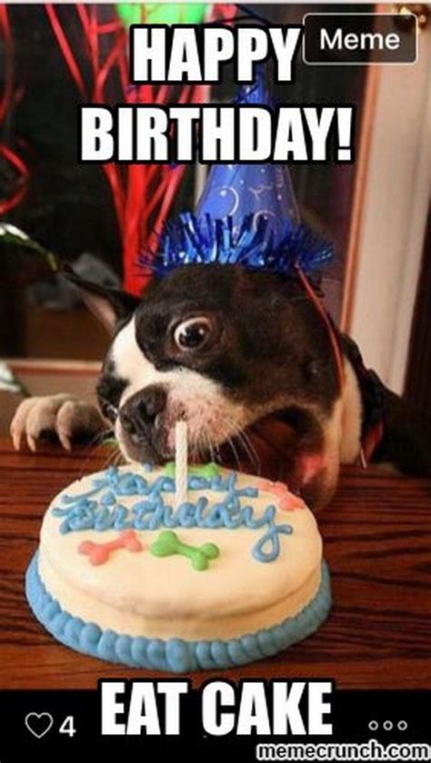 Funny Birthday Meme Dog