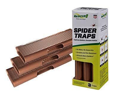 8 Best Spider Traps for Indoor and Outdoor Use