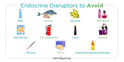 Endocrine Disruptors