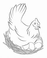 Chicken Coloring Sheets Free Printable  Templates sketch template