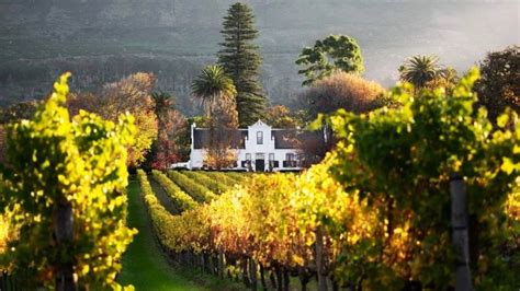 Discover Constantia Wine Route in Cape Town | Hike Addicts