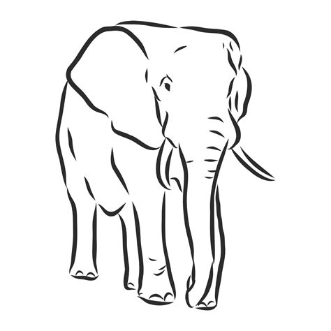 elephant vector sketch 11092616 Vector Art at Vecteezy