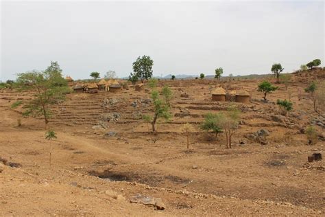 Lutte Contre l´avancée du desert à l´extrême nord du Cameroun | Comundos