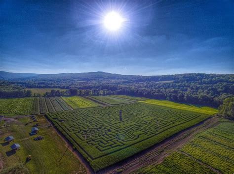 Mazezilla Is An Awesome 11-Acre Corn Maze In Pennsylvania