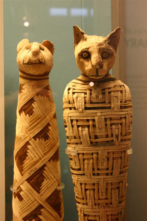 Egyptian Mummified Cats by FoxStox on DeviantArt