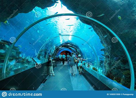 SINGAPORE - APRIL 13, 2016 : Unidentified Visitors at S.E.a Aquarium, Singapore Editorial Stock ...