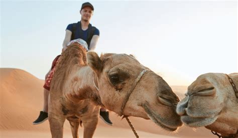 Lahbab Desert Safari, Camel Ride, Quad Experience & Private Beach ...