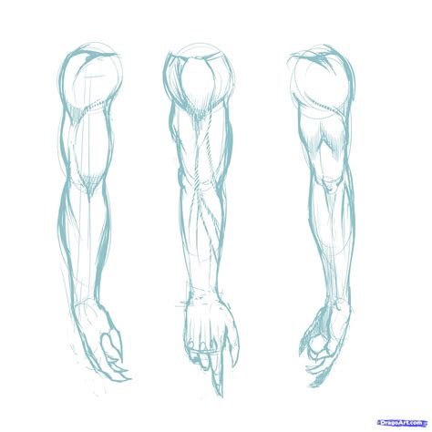 Blank Body Drawing at GetDrawings | Free download