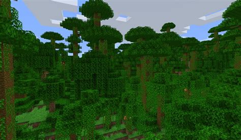 Modified Jungle Edge (WR) Minecraft Map