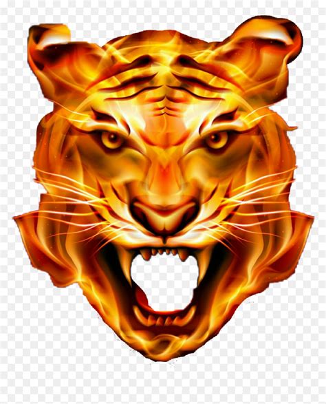 Thumb Image - Angry Tiger Face Png, Transparent Png - vhv