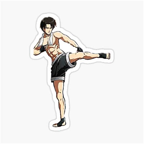 "Attack on Titan: Levi" Sticker for Sale by -AnimeAesthetic | Redbubble