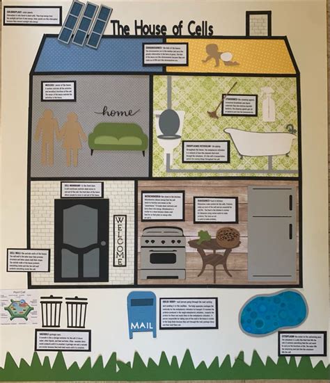 Cell Analogy to a House