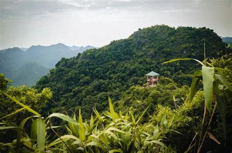 Cat Ba National Park: Everything You Need to Know